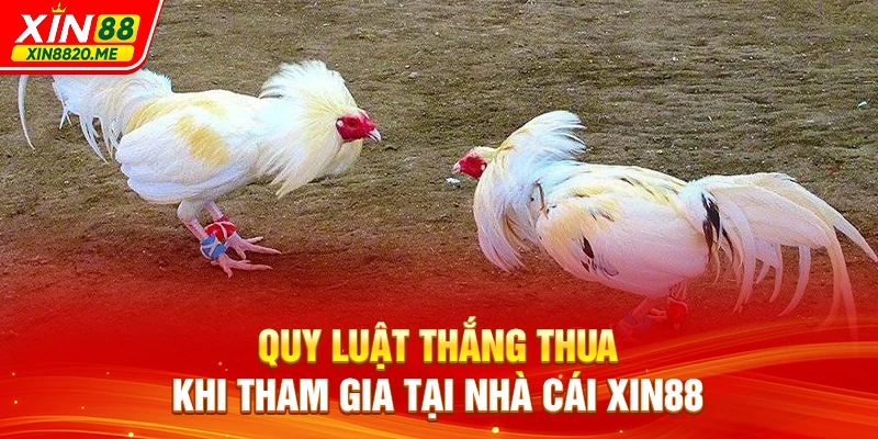 Quy luật thắng thua khi tham gia tại nhà cái XIN88